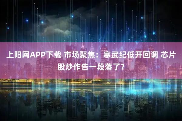 上阳网APP下载 市场聚焦：寒武纪低开回调 芯片股炒作告一段落了？